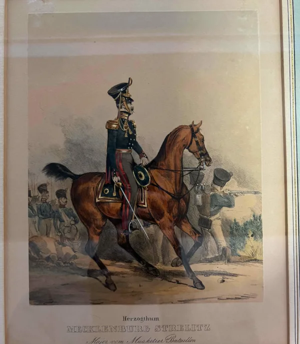 Original Lithographie / Kupferstich - Major vom Musketier Bataillon